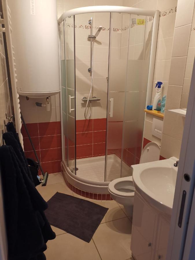 Appartement Au Pied Des Pistes Saint-Lary-Soulan Bagian luar foto